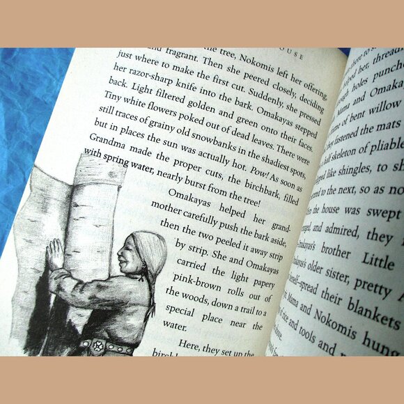 Book: The Birchbark House (Juv Fiction) written & illustrated by Louise Erdrich - Picture 9 of 16